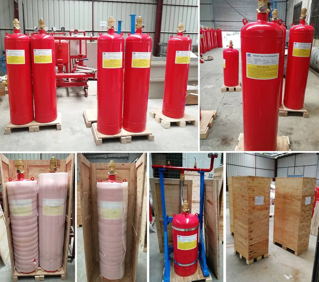 Fire Extinguishing Automatic FM200 Gas Fire Extinguishers with Factory Price