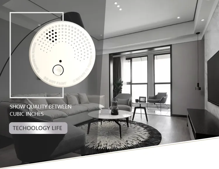 Jbe Stand-Alone DC9V Battery Operated Smoke Alarm
